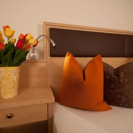 Appart & Hotel Garni Villa Knauer Hotel Mayrhofen