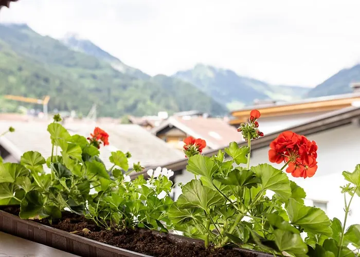 & Garni Knauer מלון מאיירהופן